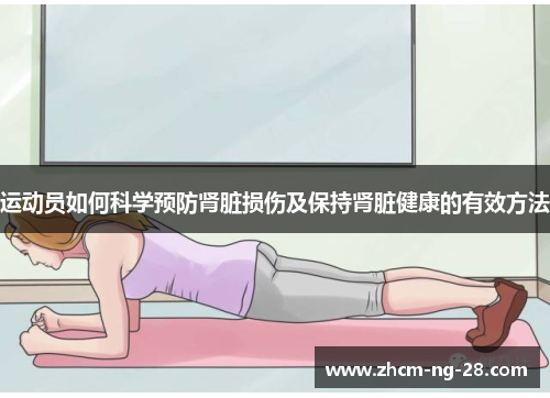 运动员如何科学预防肾脏损伤及保持肾脏健康的有效方法