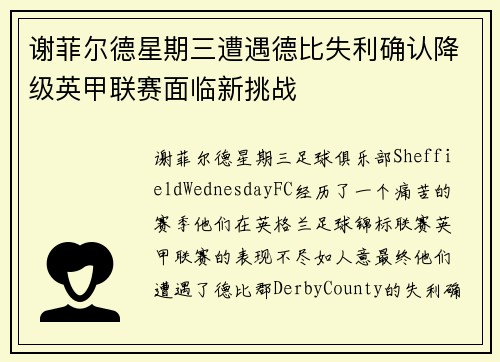 谢菲尔德星期三遭遇德比失利确认降级英甲联赛面临新挑战
