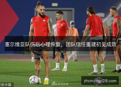 塞尔维亚队伤后心理恢复,团队信任重建初见成效 塞尔维亚队伤后心理恢复,团队信任重建初见成效